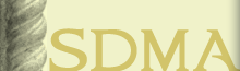 Proportional_227_yellow-logo