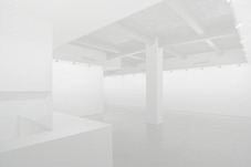 Proportional_227_gl3