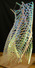 Proportional_68_e3a93f71c2