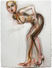 Proportional_68_d73a643c8d